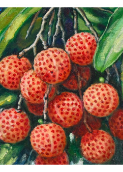 Lot 0201305 Lot 0201305