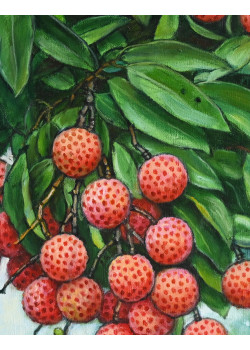 Lot 0201901 Lot 0201901