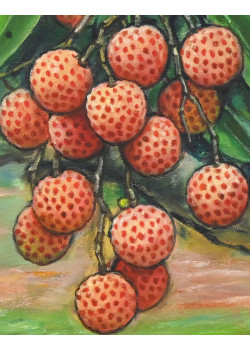 Lot 0202001 Lot 0202001