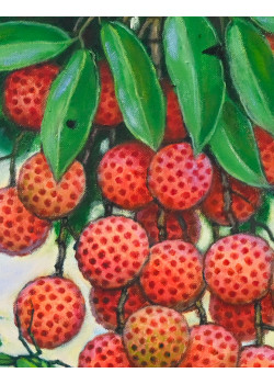 Lot 0202102 Lot 0202102