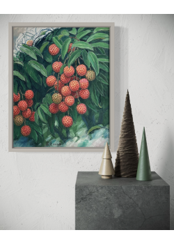 Lot 0202403 Lot 0202403