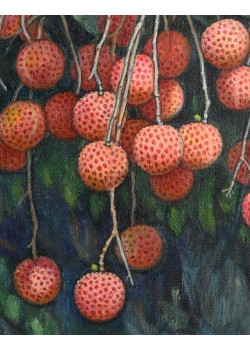 Lot 0202407 Lot 0202407