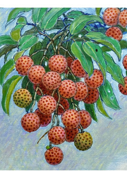 Lot 0202408 Lot 0202408