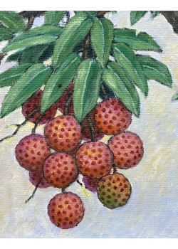 Lot 0202502 Lot 0202502