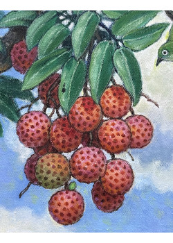 Lot 0202503 Lot 0202503